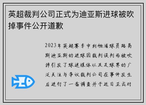 英超裁判公司正式为迪亚斯进球被吹掉事件公开道歉